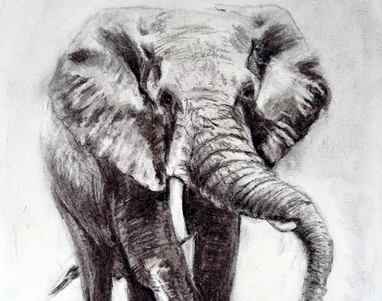 Charcoal Artwork